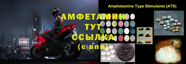 шишки Слюдянка