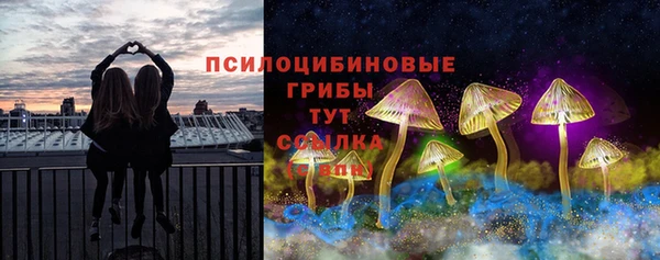 ГАЛЛЮЦИНОГЕННЫЕ ГРИБЫ Бронницы