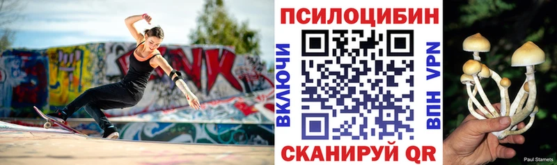 продажа наркотиков  blacksprut ONION  Галлюциногенные грибы MAGIC MUSHROOMS  Гатчина 